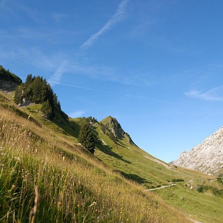 Mgm Hotels & Residences - Residence Chalets De Joy Le Grand-Bornand Esterno foto